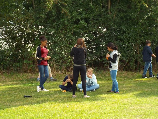 Bilder 21.08.2014