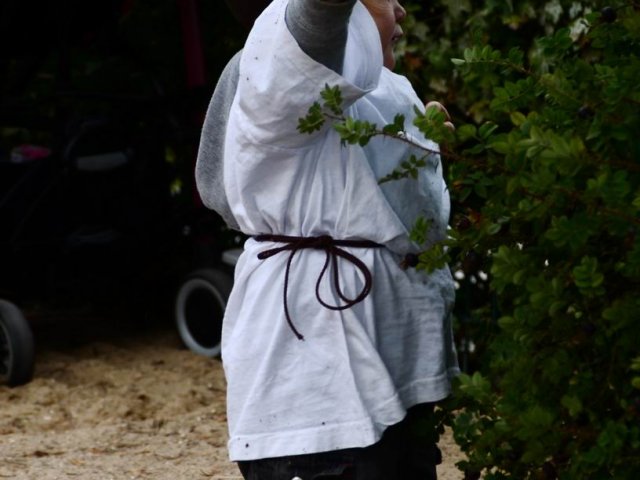 Bilder 22.08.2014