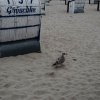Bilder 22.08.2014