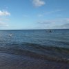 Bilder 24.08.2014