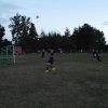 Bilder 24.08.2014
