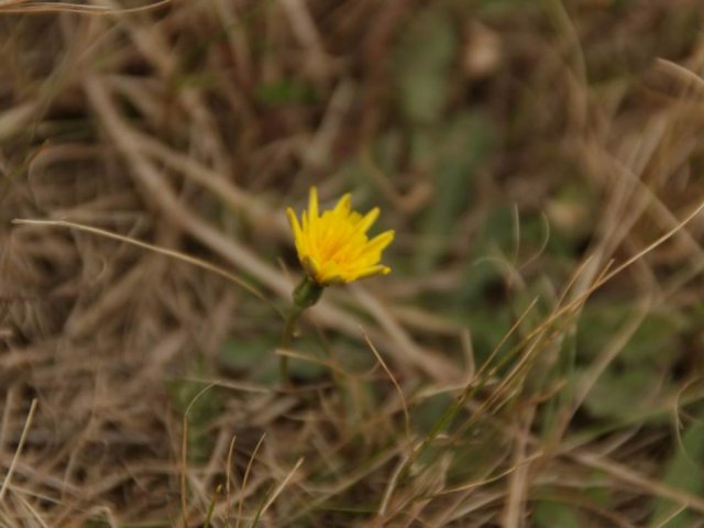 Bilder 25.08.2014