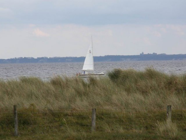 Bilder 25.08.2014