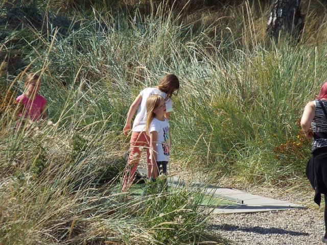 Bilder 26.08.2014