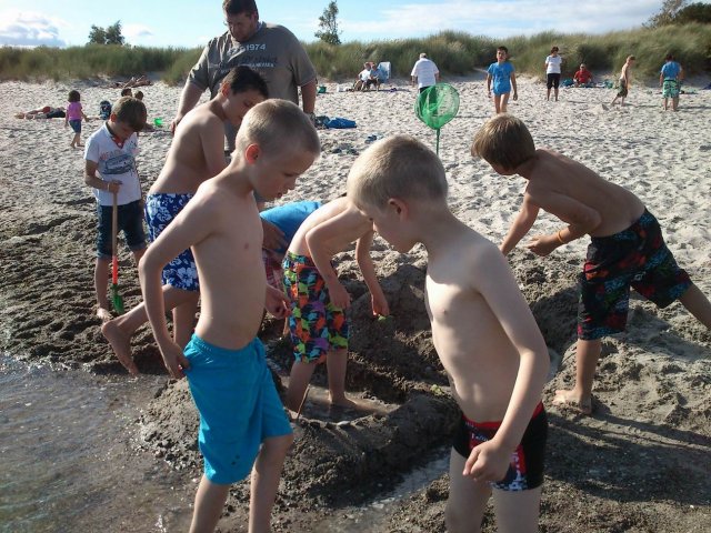Bilder 26.08.2014