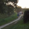 Nachlauf 2014
