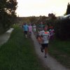 Nachlauf 2014