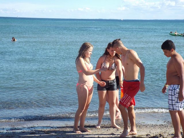 Bilder 27.08.2014