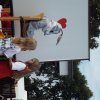 Bilder 30.08.2014