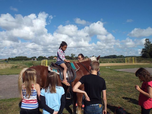 Bilder 02.09.2014
