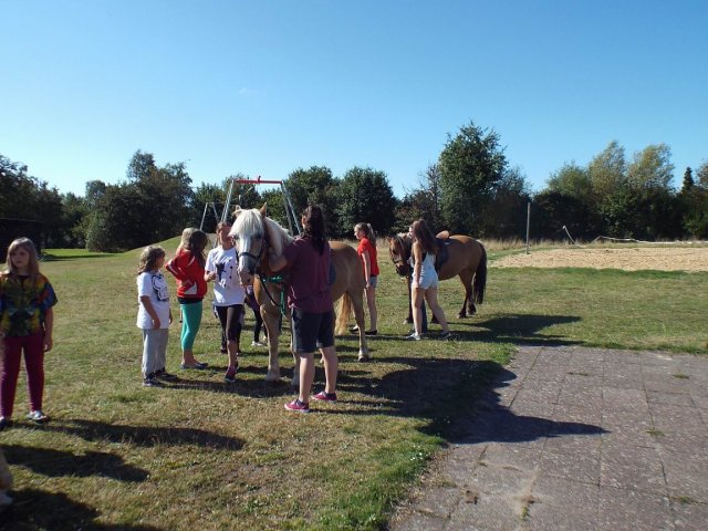 Bilder 02.09.2014