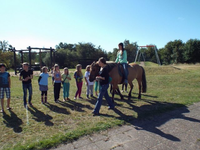 Bilder 02.09.2014