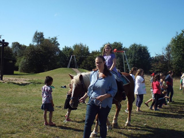 Bilder 02.09.2014