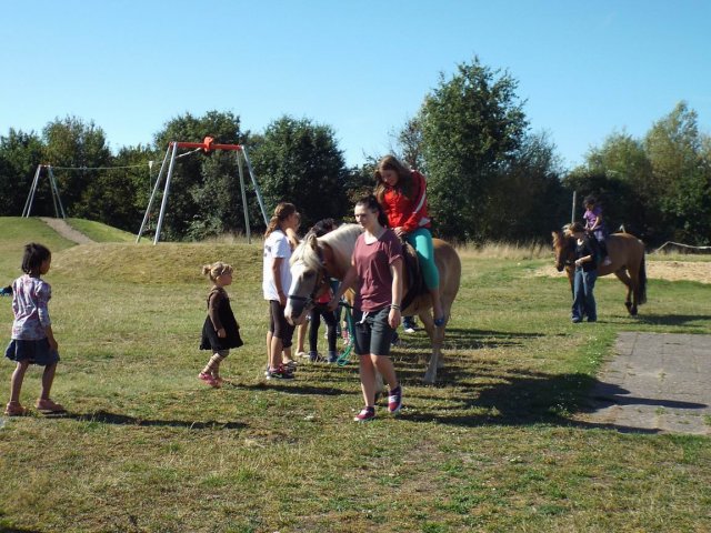 Bilder 02.09.2014