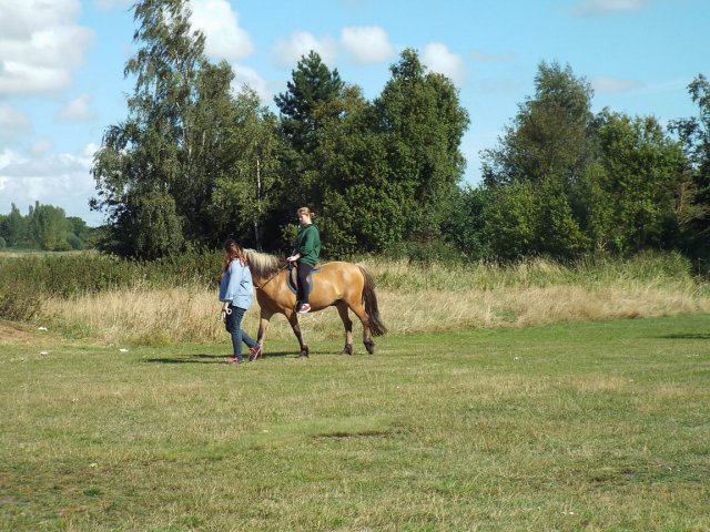 Bilder 02.09.2014