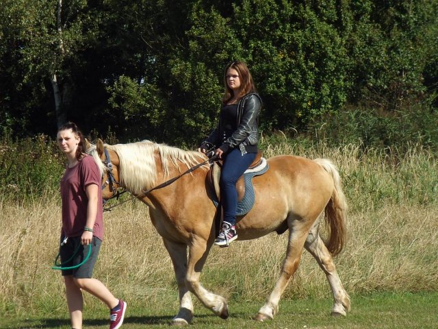 Bilder 02.09.2014