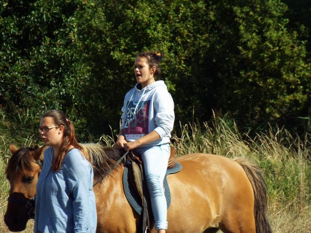 Bilder 02.09.2014