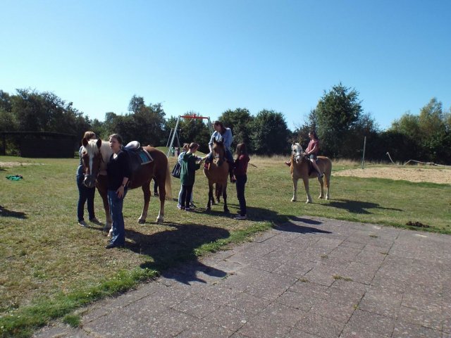 Bilder 02.09.2014