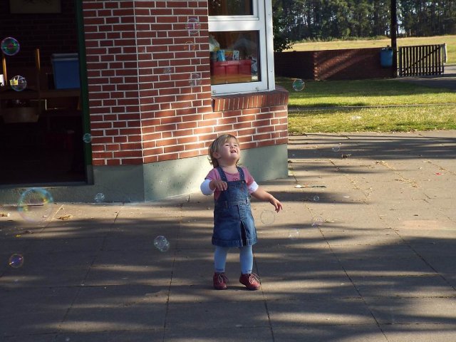 Bilder 02.09.2014