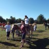 Bilder 02.09.2014