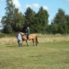 Bilder 02.09.2014