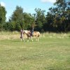 Bilder 02.09.2014