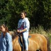 Bilder 02.09.2014