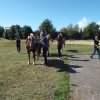 Bilder 02.09.2014