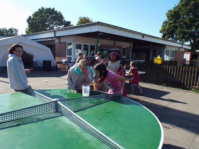 Bilder 04.09.2014