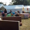 Bilder 06.09.2014