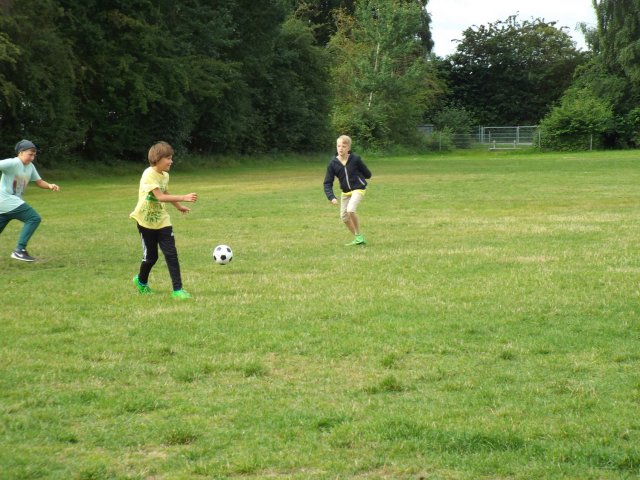 Bilder 18.07.2016