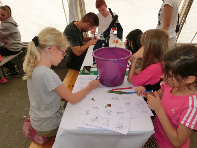 Bilder 20.07.2016