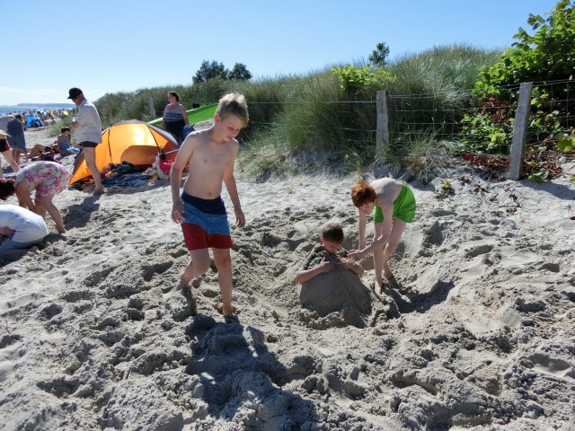 Bilder 20.07.2016