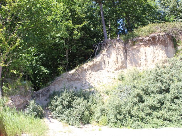 Bilder 20.07.2016