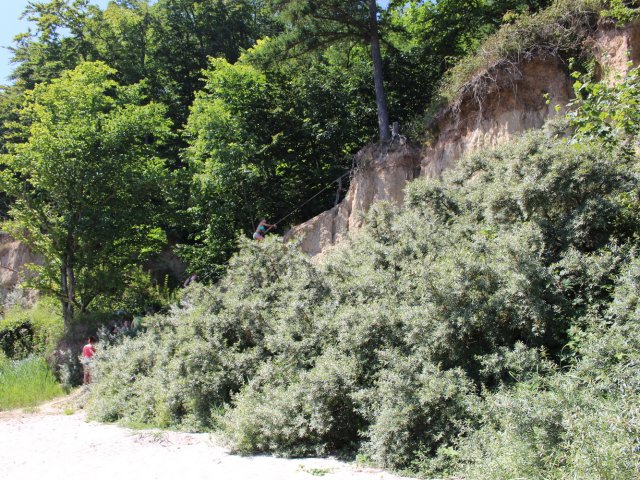 Bilder 20.07.2016