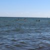Bilder 20.07.2016