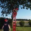Bilder 21.07.2016