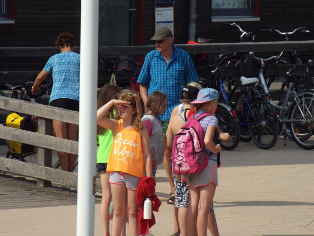 Bilder 22.07.2016