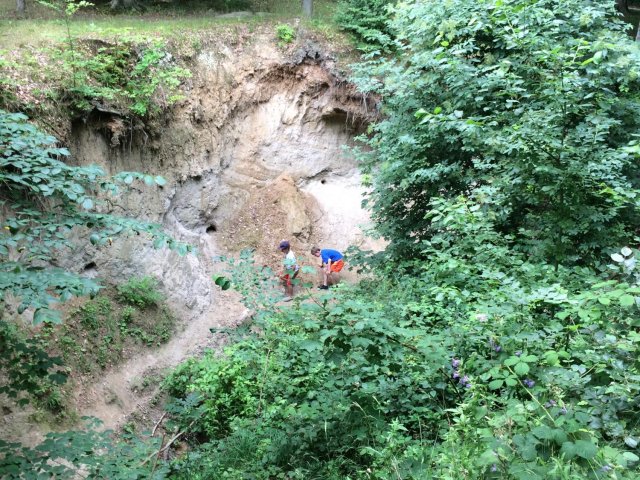 Bilder 22.07.2016
