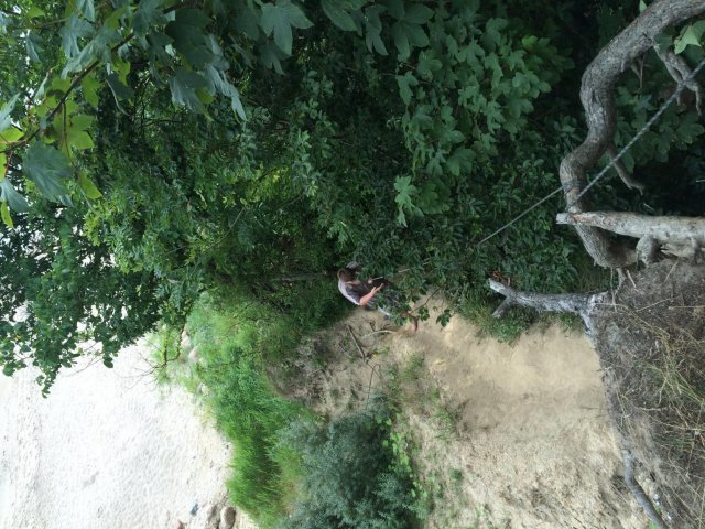 Bilder 22.07.2016