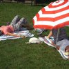 Bilder 22.07.2016