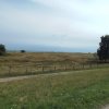 Bilder 22.07.2016