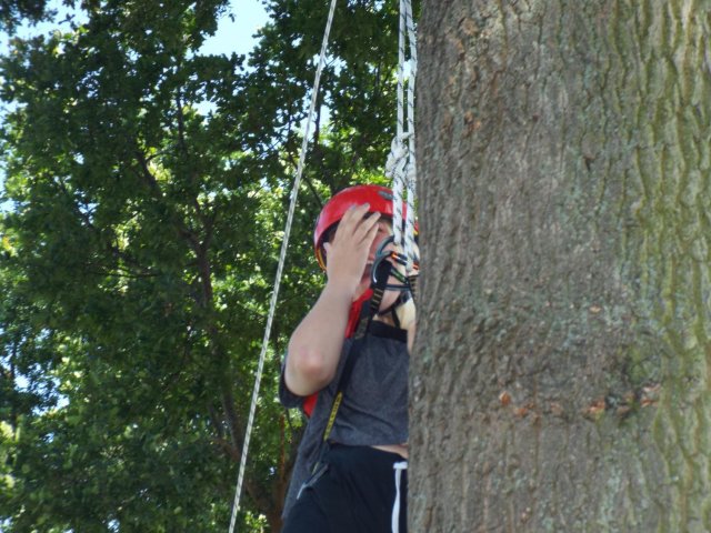 Bilder 24.07.2016