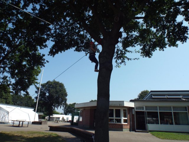 Bilder 24.07.2016