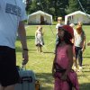 Bilder 24.07.2016