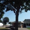 Bilder 24.07.2016