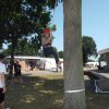 Bilder 24.07.2016