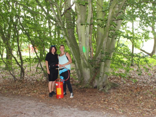 Bilder 25.07.2016