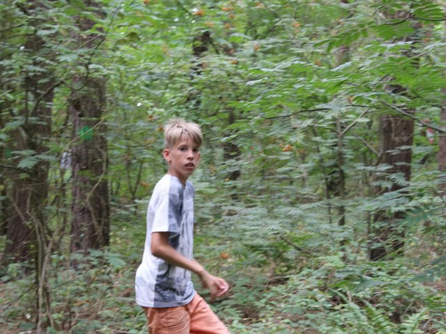 Bilder 25.07.2016