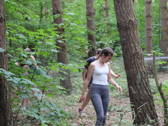 Bilder 25.07.2016